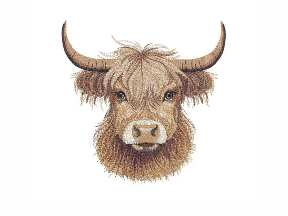 Cute Highland Cow: A Designer’s Holiday Review